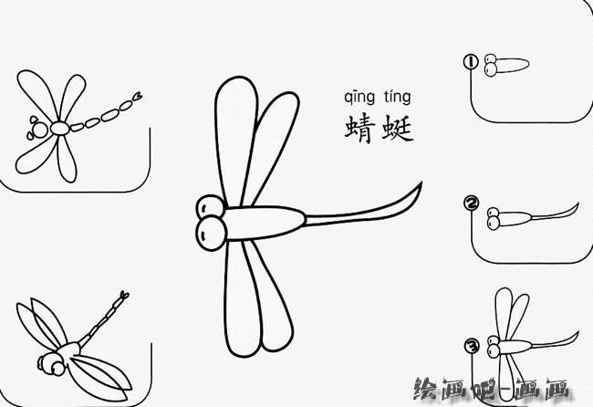 蜻蜓的蜓组词的简单介绍
