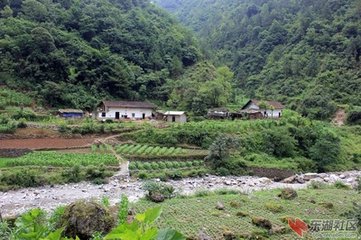 病足久败游山之兴山中道人多见问戏作示之