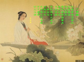 如梦令·人似已圆孤月