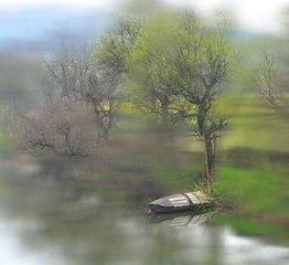 蝶恋花·已过春分春欲去