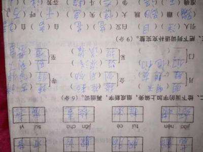乎组词组(胡组词组什么)