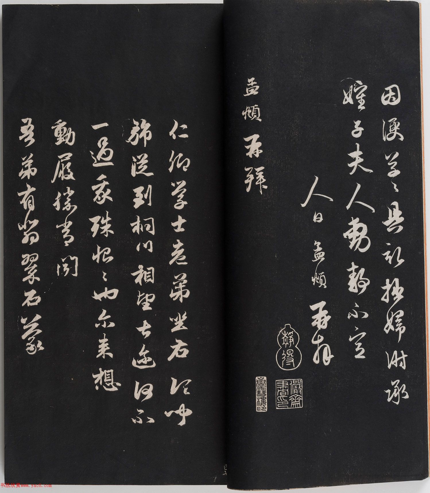 赵孟頫书法专辑《岳雪楼鉴真法帖》