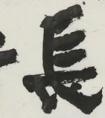 蔡梦霞 书法《十里长街客》