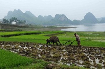 龙华山寺寓居十首