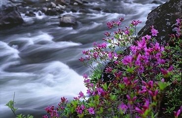 木兰花慢（送郑伯昌）