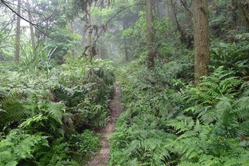 和九华观见怀贡院八韵