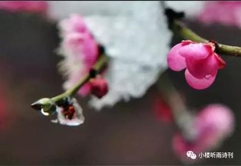 水调歌头（腊月二十一日可远堂索赋）